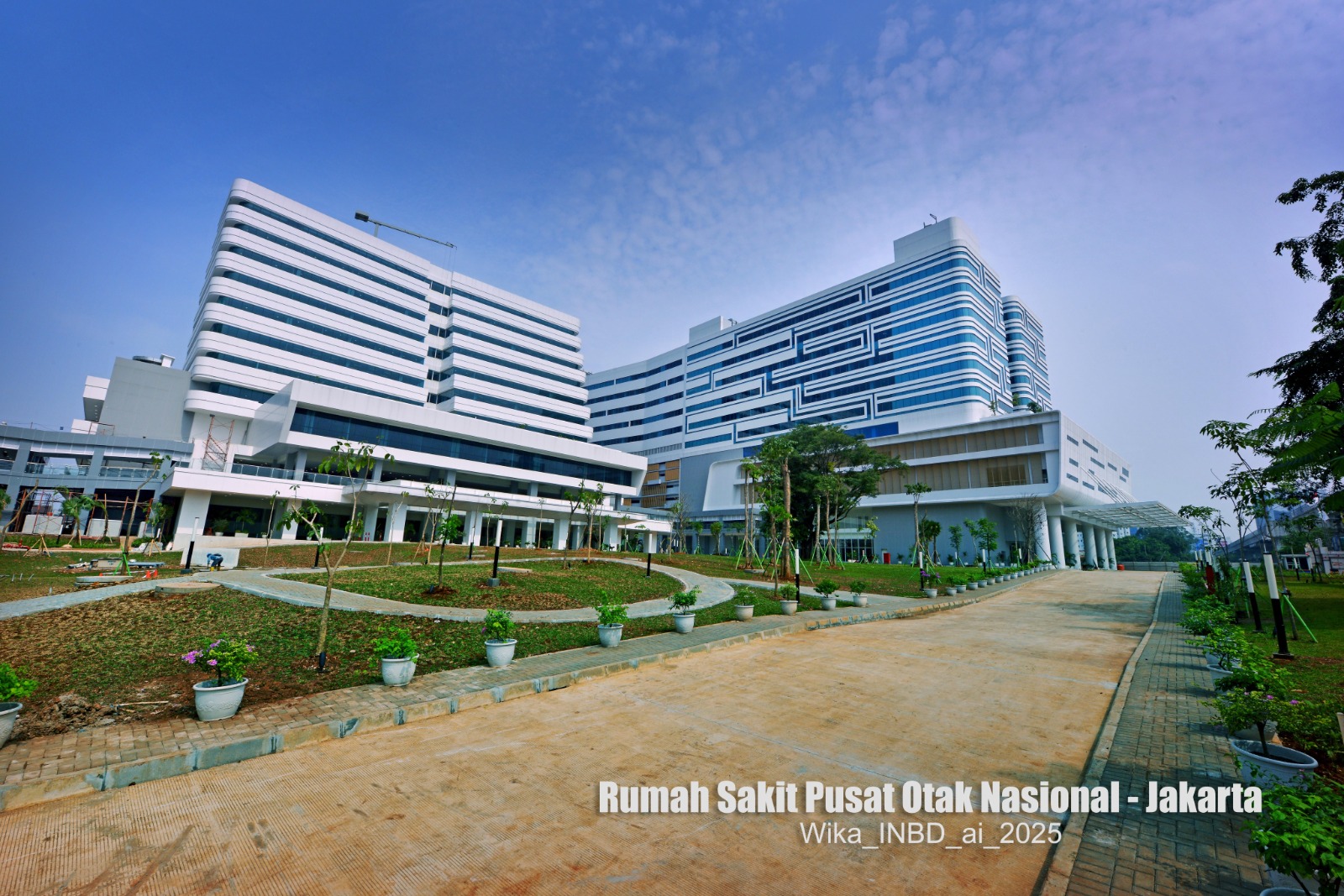 Rumah Sakit Pusat Otak Nasional